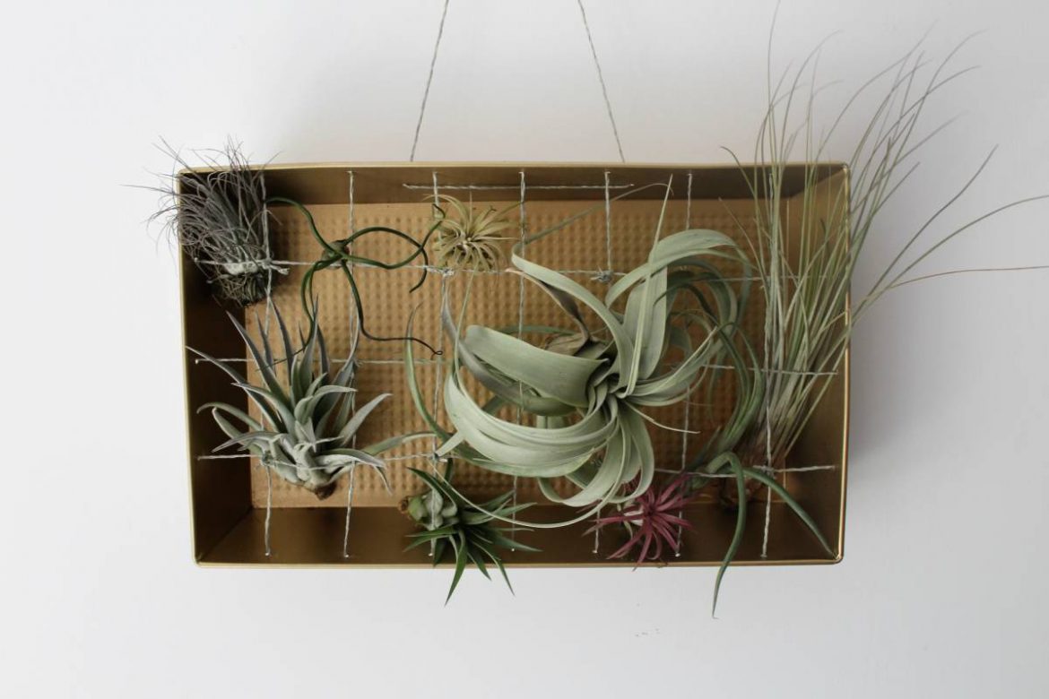 Ramka na oplątwy ze starej blachy do pieczenia